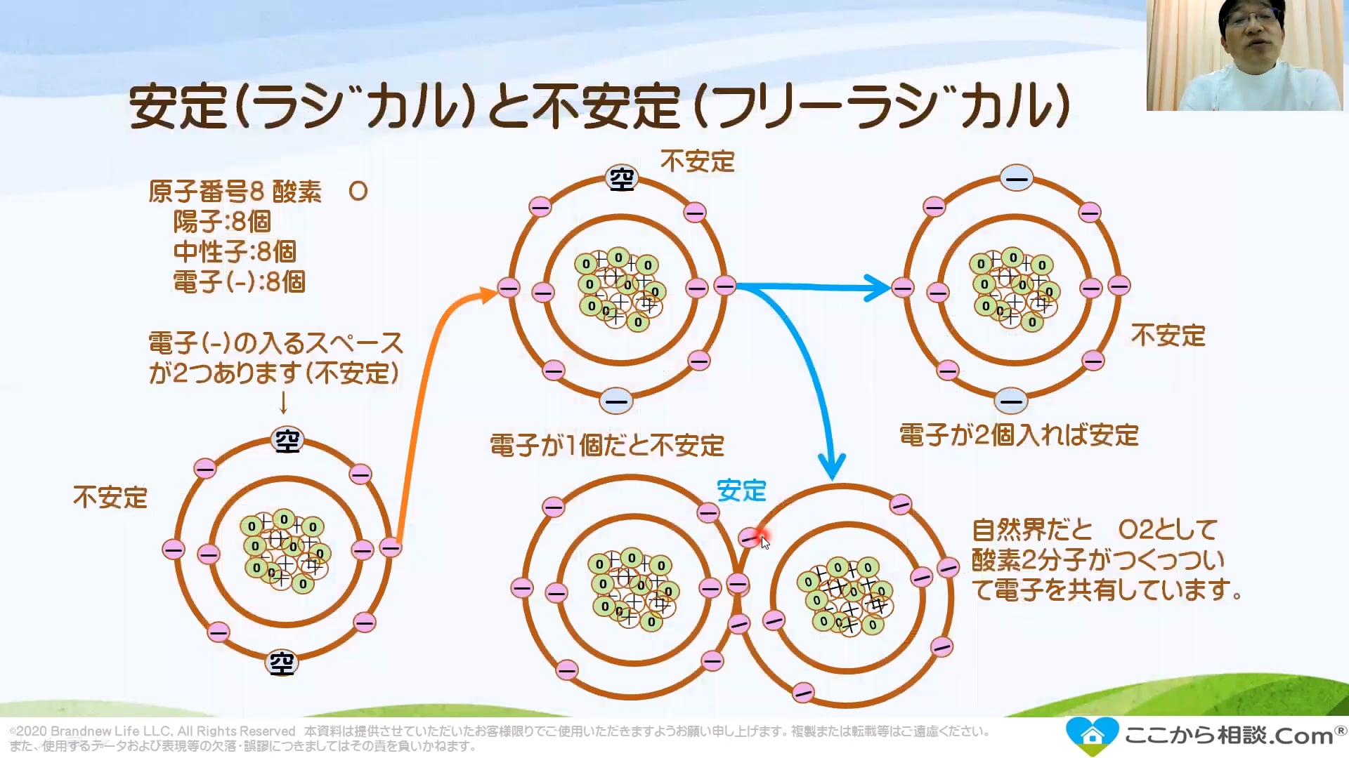 栄養学の基礎：鉄 Ver2