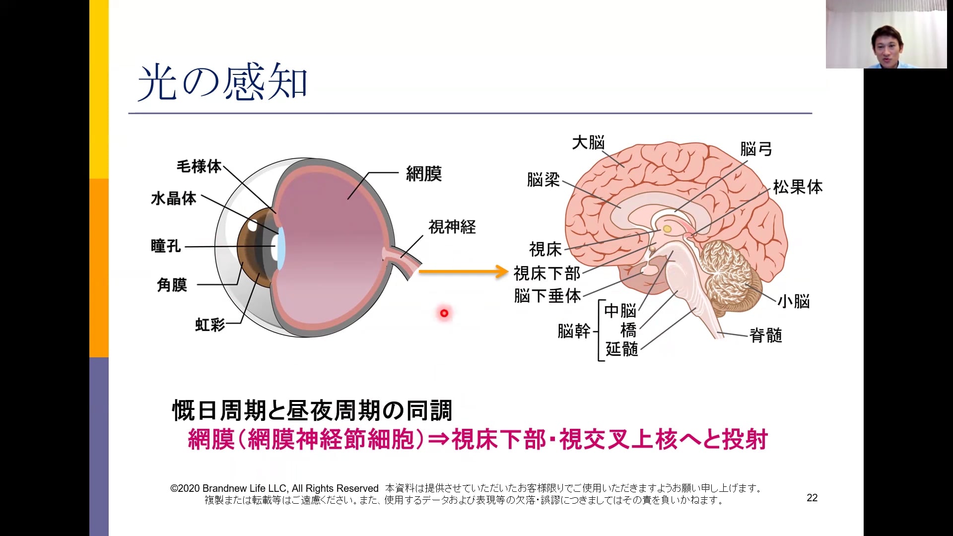 睡眠基礎編 Ver2