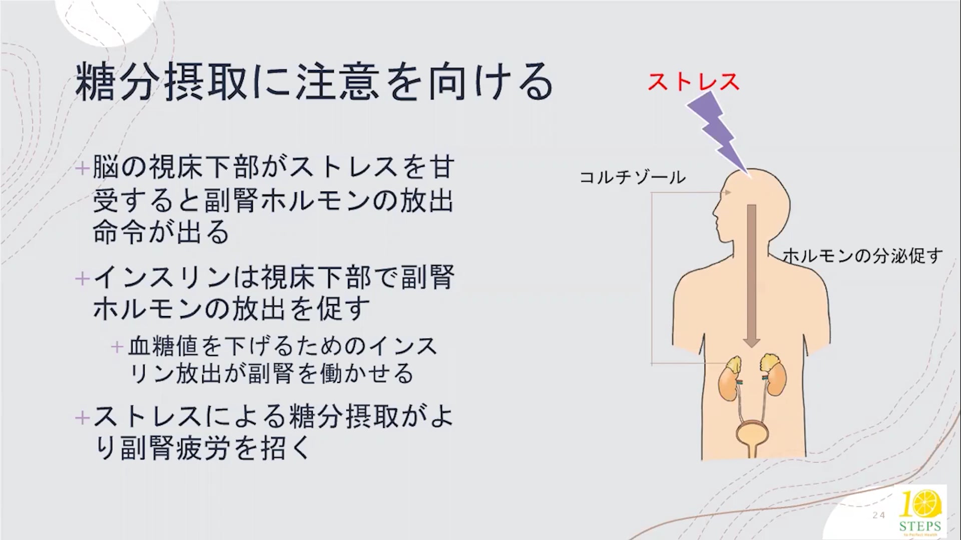 副腎疲労 Ver5